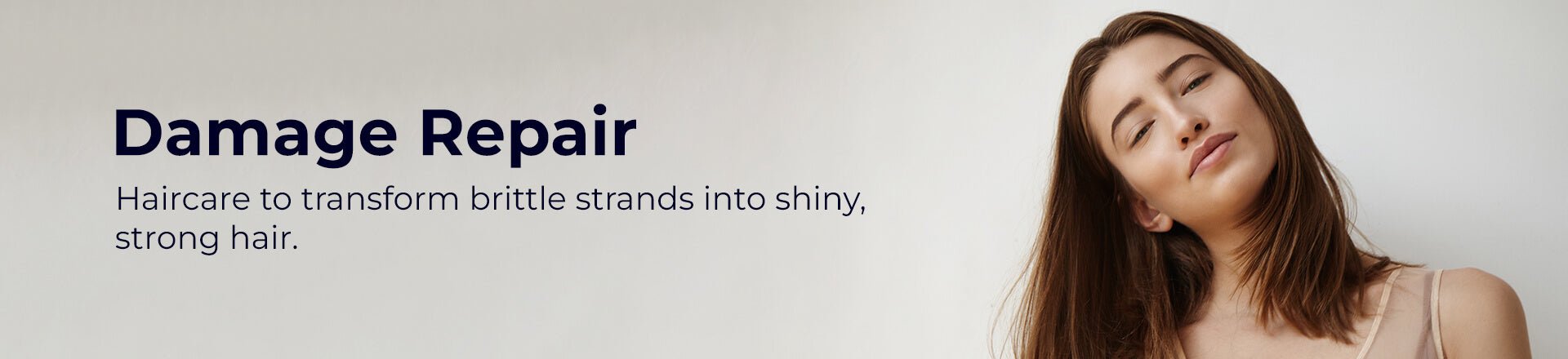 Damage Repair | Pilgrim India